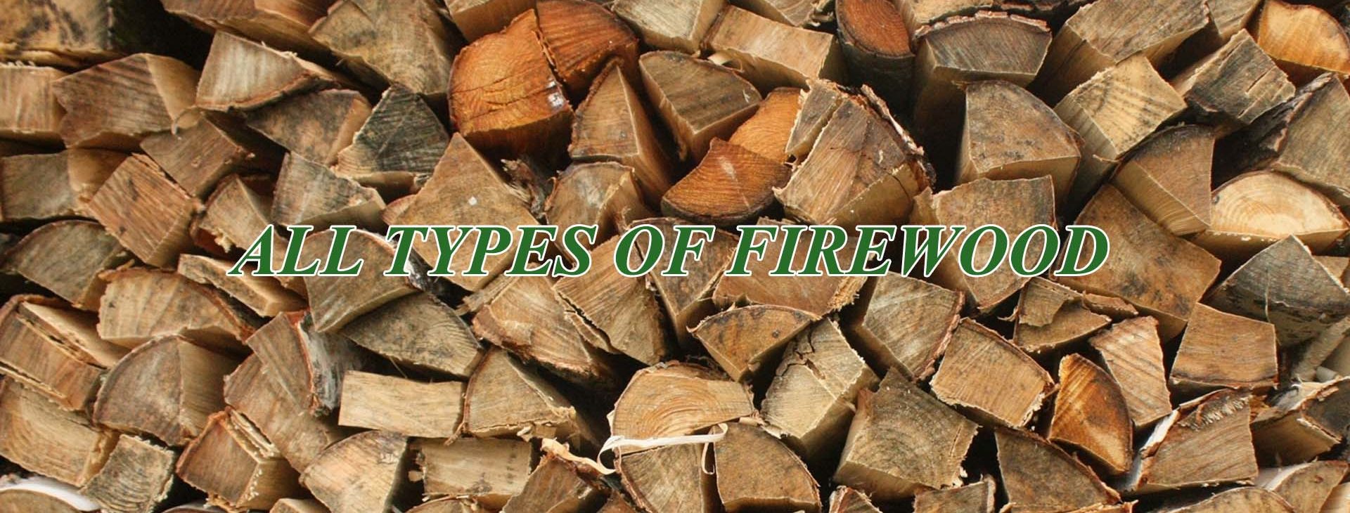 Golden Tree Maintenance and Tree Services